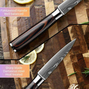 3.5 inch Kitchen Knife Professional Kitchen Chef Knife Japanese Damascus Pattern